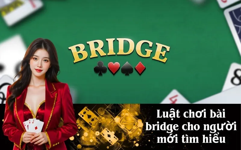 Luật chơi bài bridge cho người mới tìm hiểu